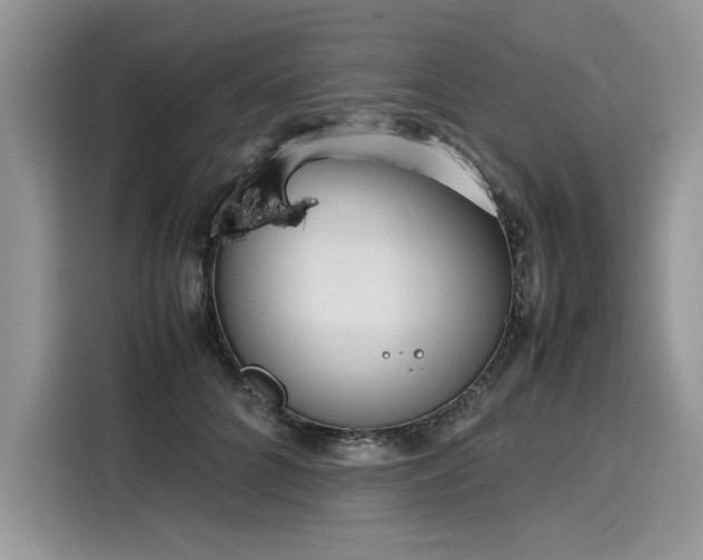 X0000116270704200911301213