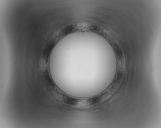 X0000116270705200911301213