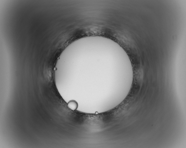 X0000116270709200911301213