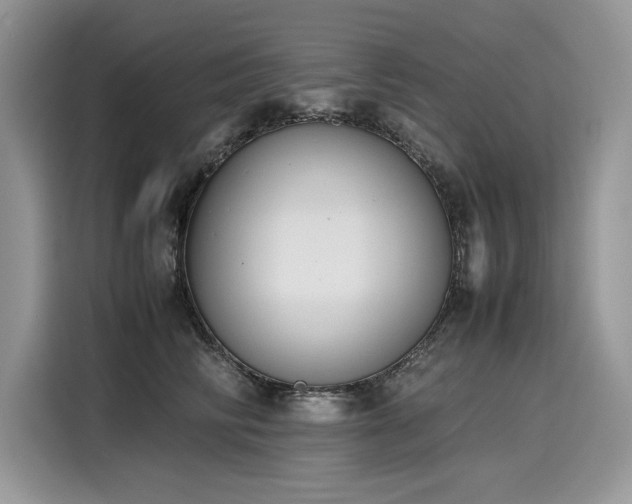 X0000116270710200911301213