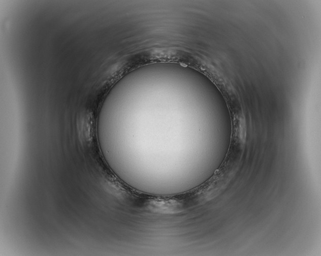 X0000116270712200911301213