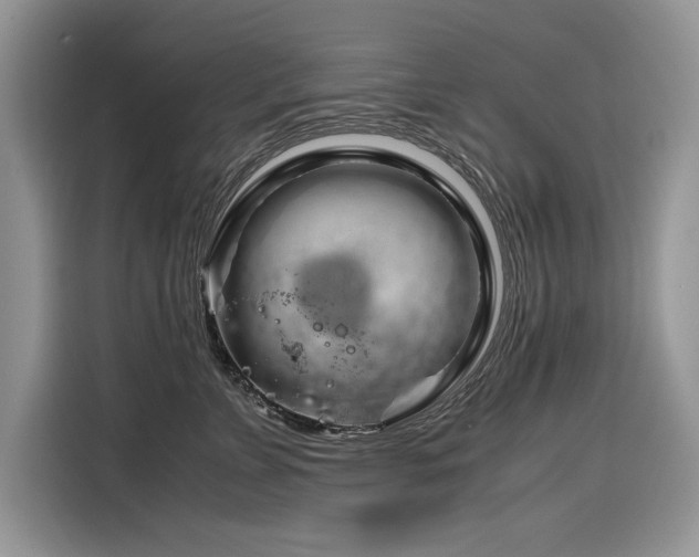 X0000116270715200911301213