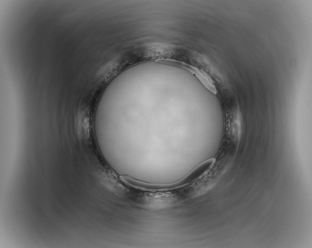 X0000116270716200911301213