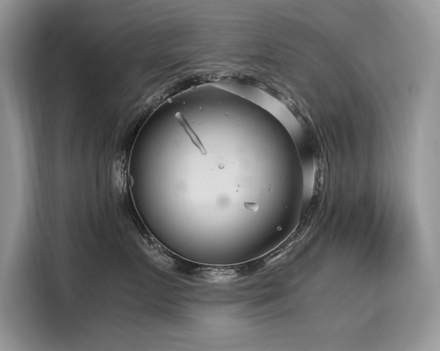 X0000116270719200911301213