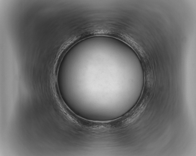 X0000116270721200911301212