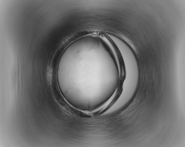 X0000116270722200911301212