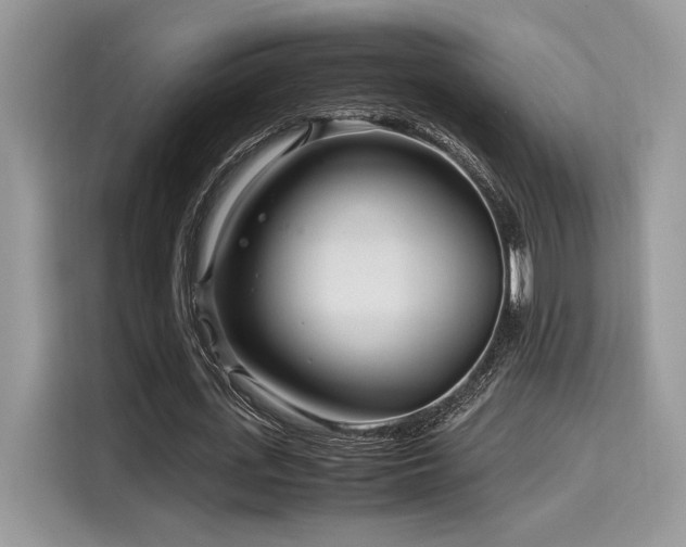 X0000116270723200911301213