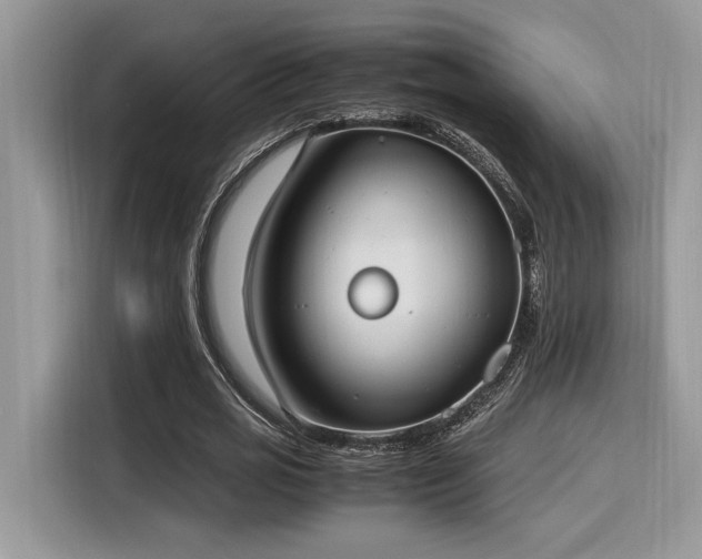 X0000116270725200911301213