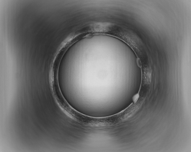 X0000116270726200911301213