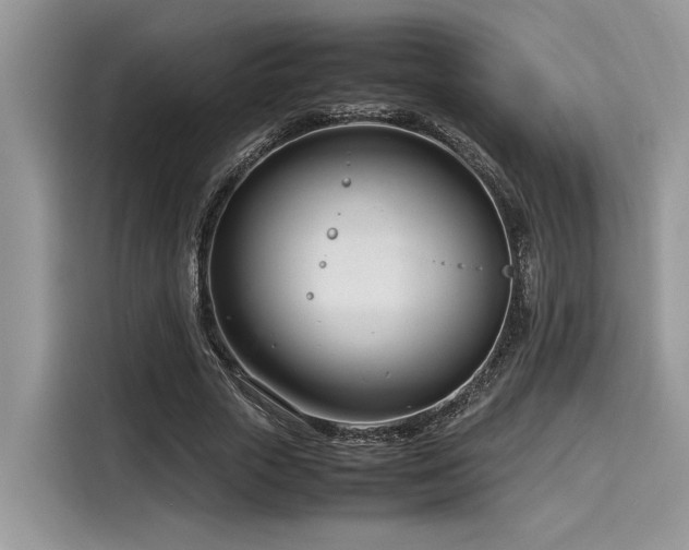 X0000116270729200911301213