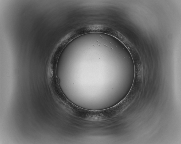 X0000116270731200911301213