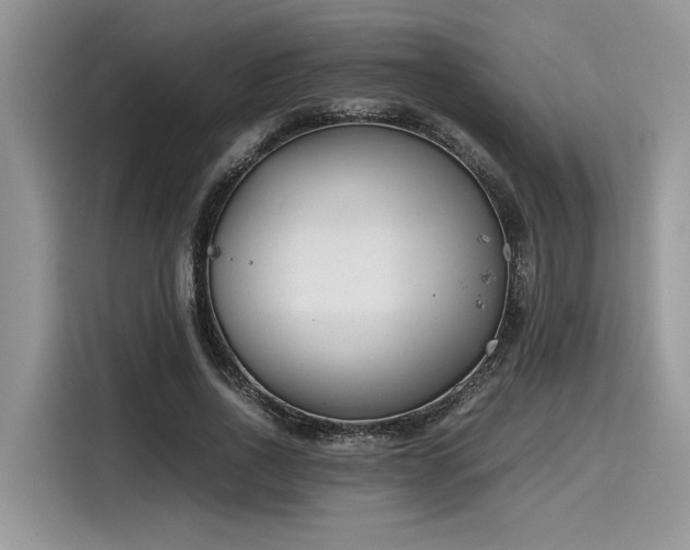 X0000116270734200911301213