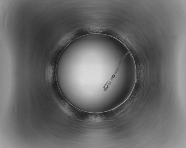 X0000116270742200911301213