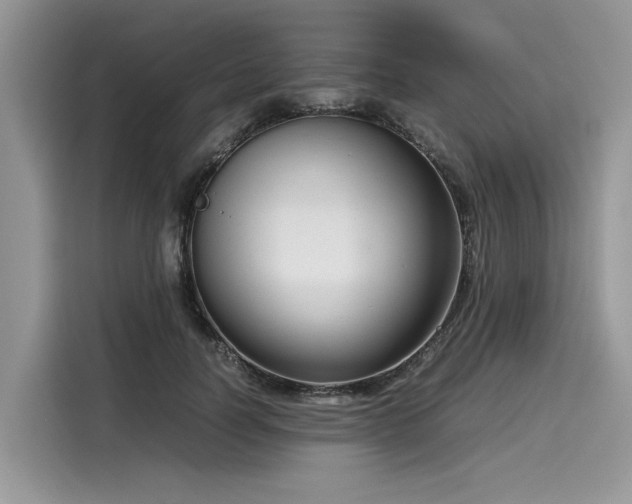 X0000116270746200911301213