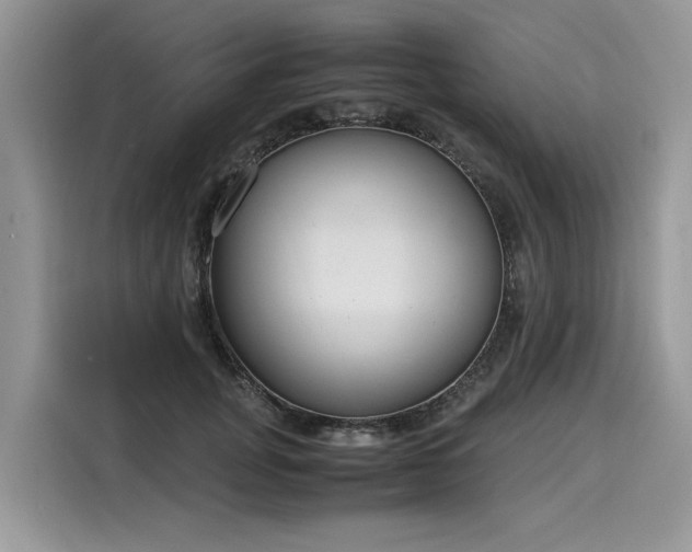X0000116270751200911301213