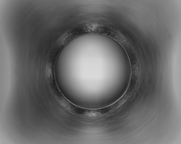 X0000116270754200911301213