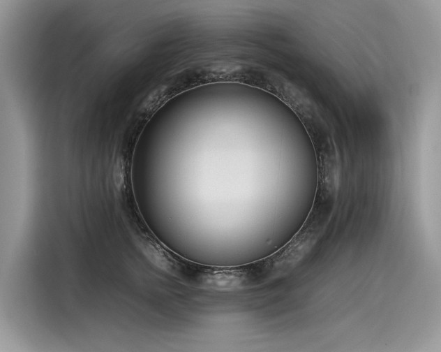 X0000116270758200911301213