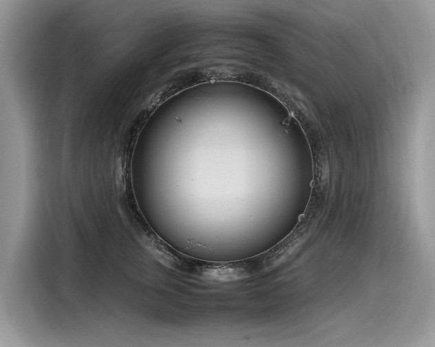 X0000116270759200911301213