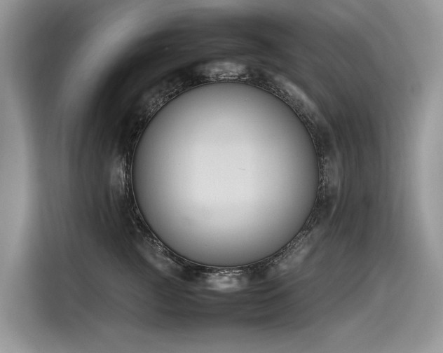 X0000116270761200911301213