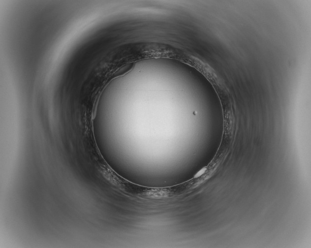 X0000116270762200911301213
