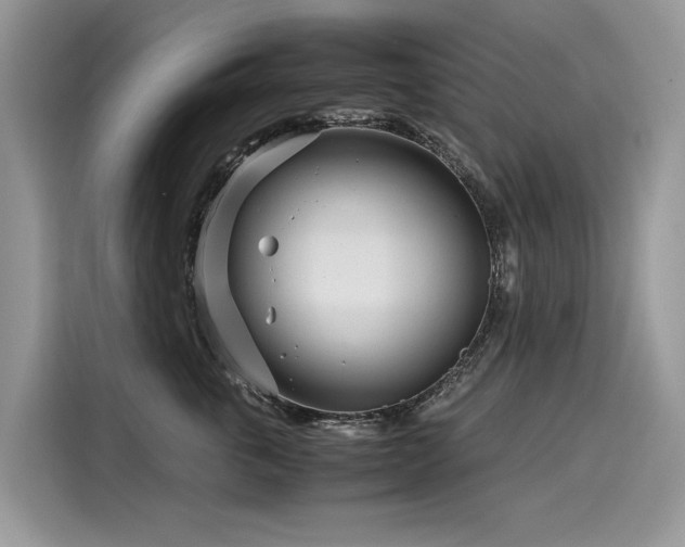 X0000116270763200911301213