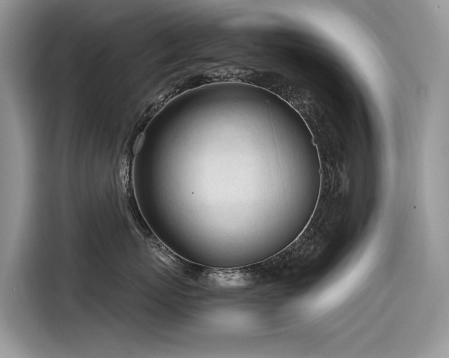 X0000116270767200911301213