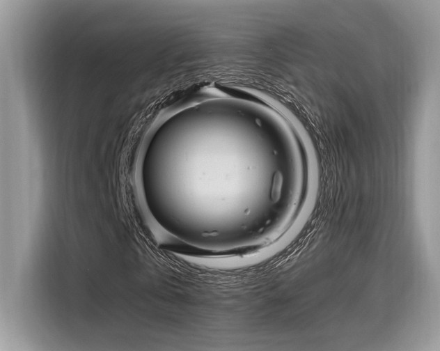 X0000116270769200911301212