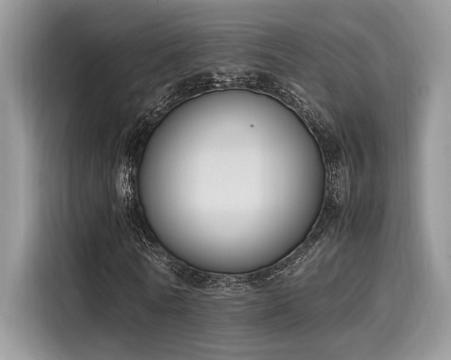 X0000116270770200911301212