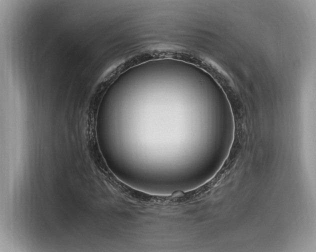 X0000116270775200911301212