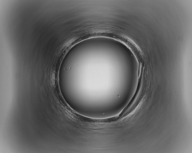 X0000116270777200911301212