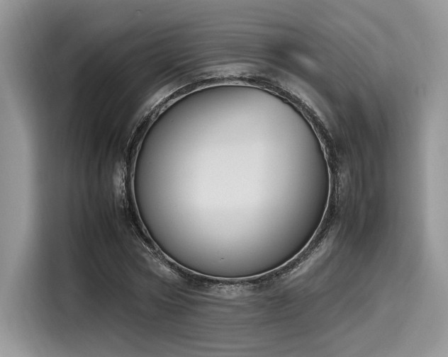 X0000116270778200911301212