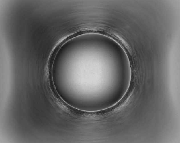 X0000116270779200911301212