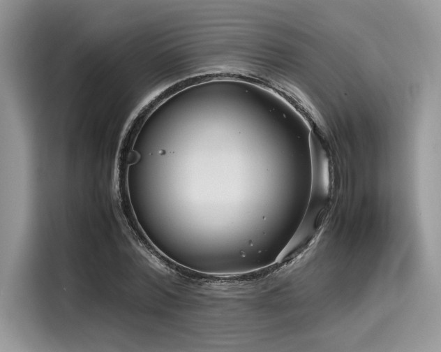 X0000116270780200911301212