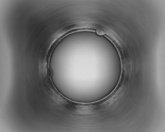X0000116270781200911301212