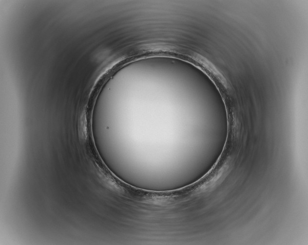 X0000116270782200911301212