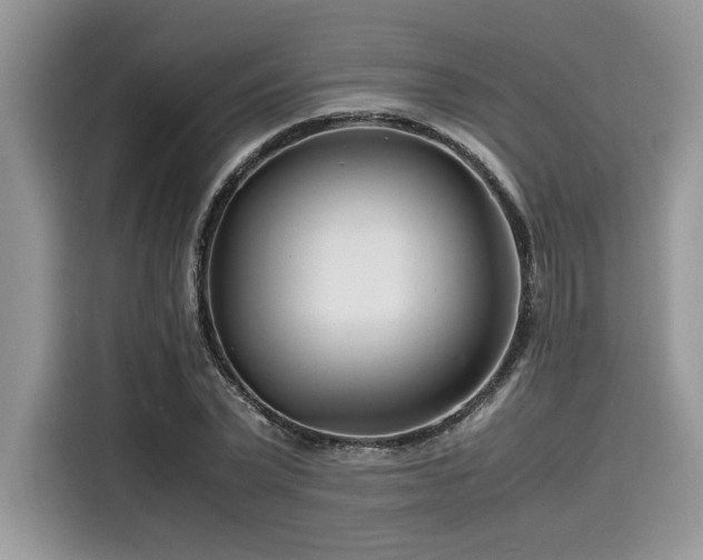 X0000116270783200911301212