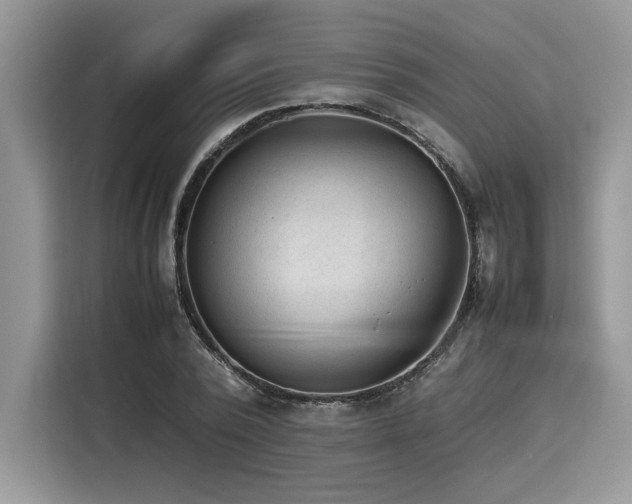 X0000116270784200911301212