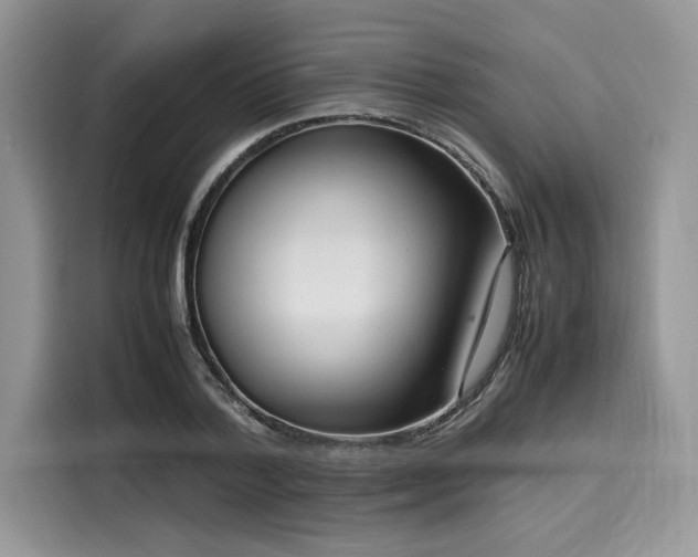 X0000116270788200911301212