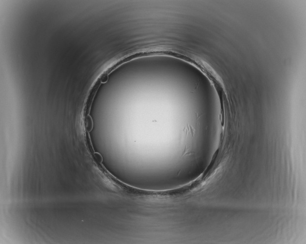 X0000116270789200911301212