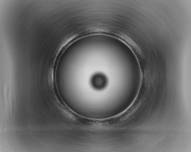 X0000116270790200911301212