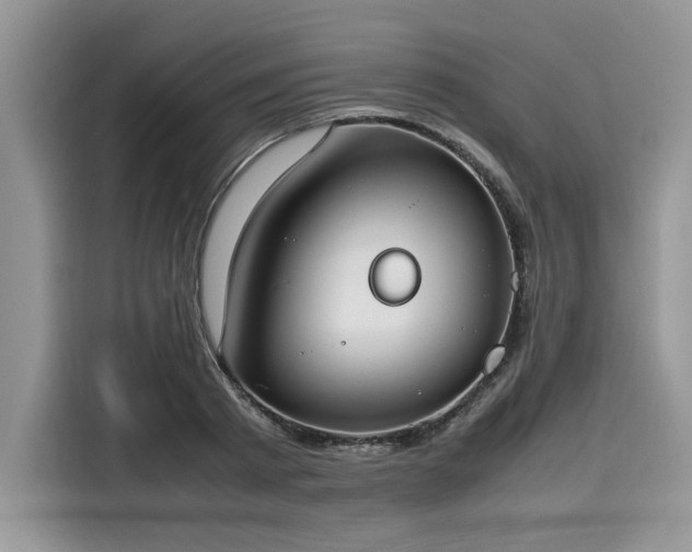 X0000116270793200911301212
