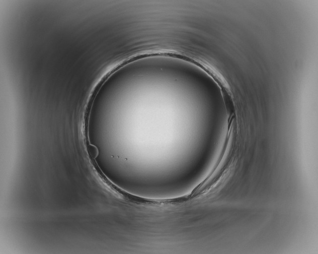 X0000116270797200911301212