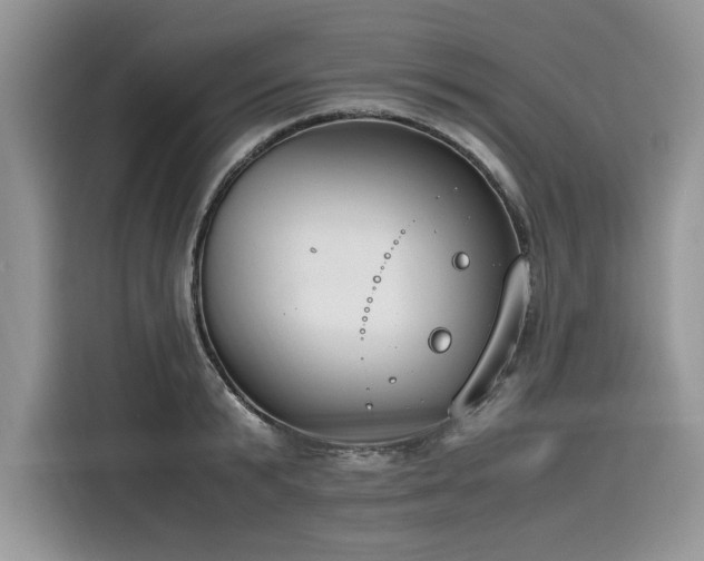 X0000116270799200911301212