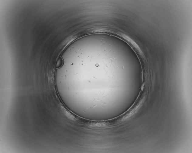 X0000116270801200911301212