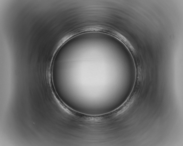 X0000116270802200911301212