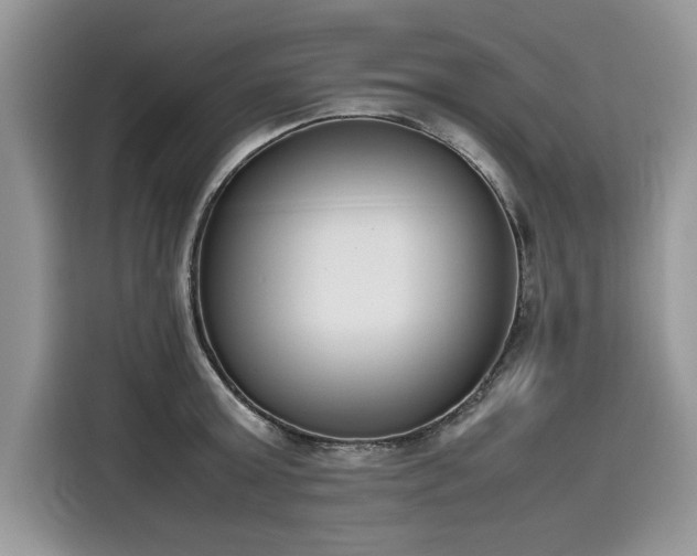 X0000116270803200911301212