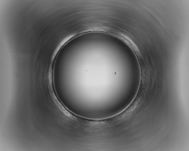 X0000116270804200911301212