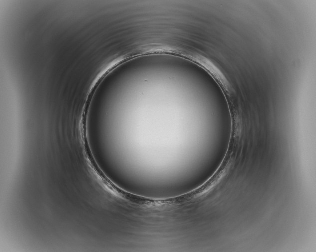 X0000116270806200911301212