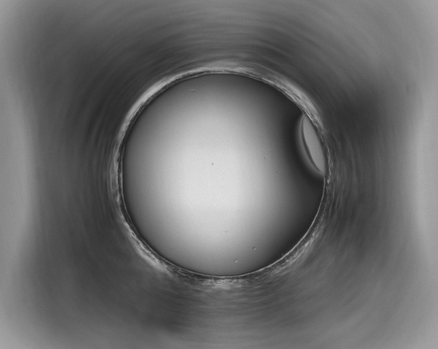 X0000116270808200911301212