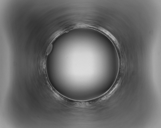 X0000116270809200911301212